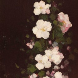 Apple flowers